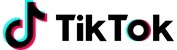 TikTok Logo